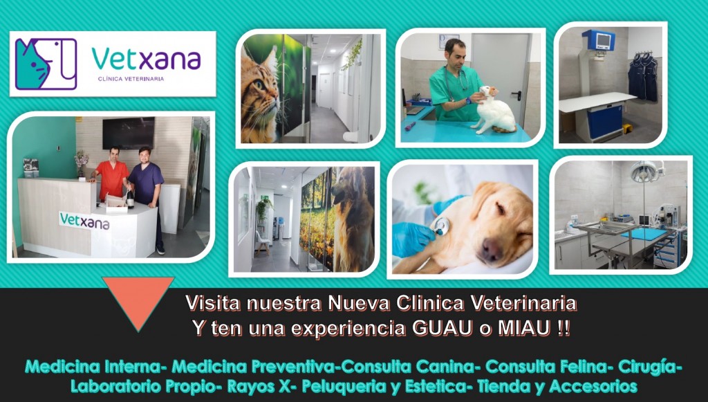 vetxana